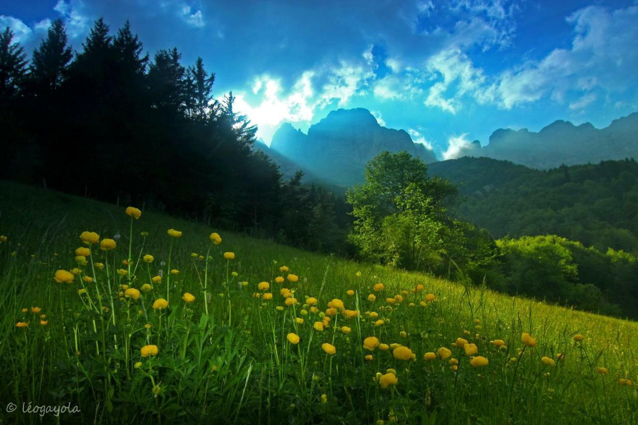 Les Chalets De Pre Clos En Vercors Saint-Andeol  ภายนอก รูปภาพ